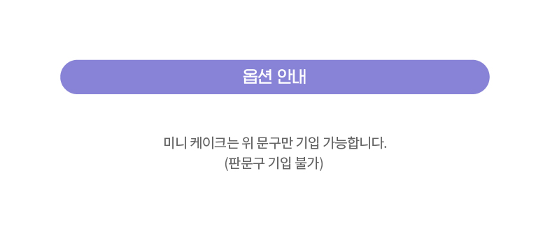 TTH리뉴얼_옵션안내문구_미니(판문구불가).jpg